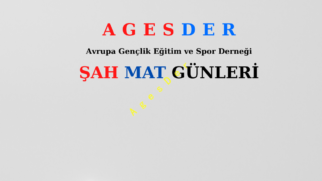 Şah Mat Günleri Başvuru Formu